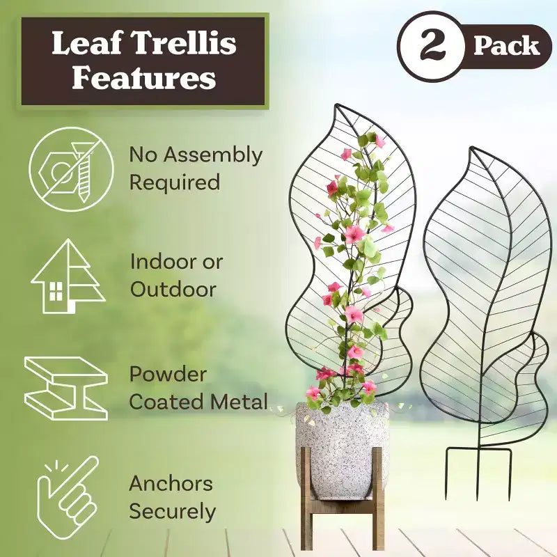 Trellis pour plantes grimpantes, lot de 2