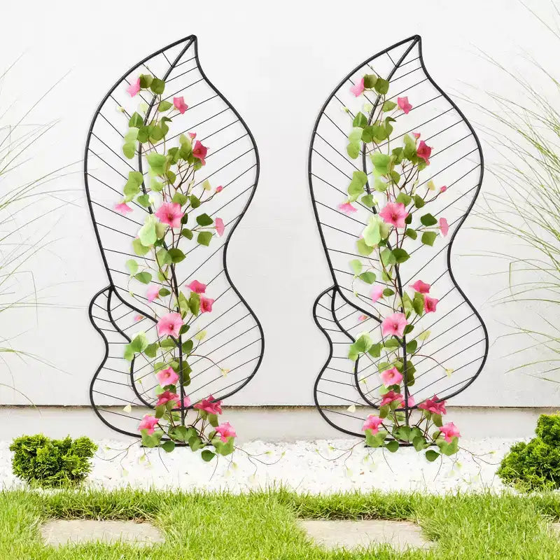 Trellis pour plantes grimpantes, lot de 2
