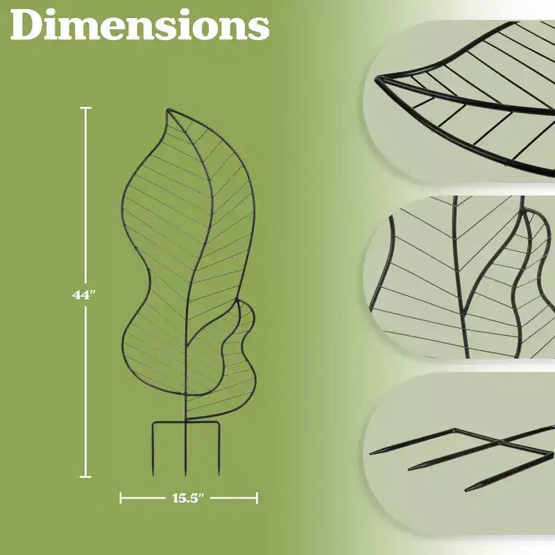 Trellis pour plantes grimpantes, lot de 2