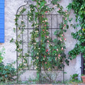 Trellis de jardin pour plantes grimpantes Treillis extérieur pour rosiers grimpants