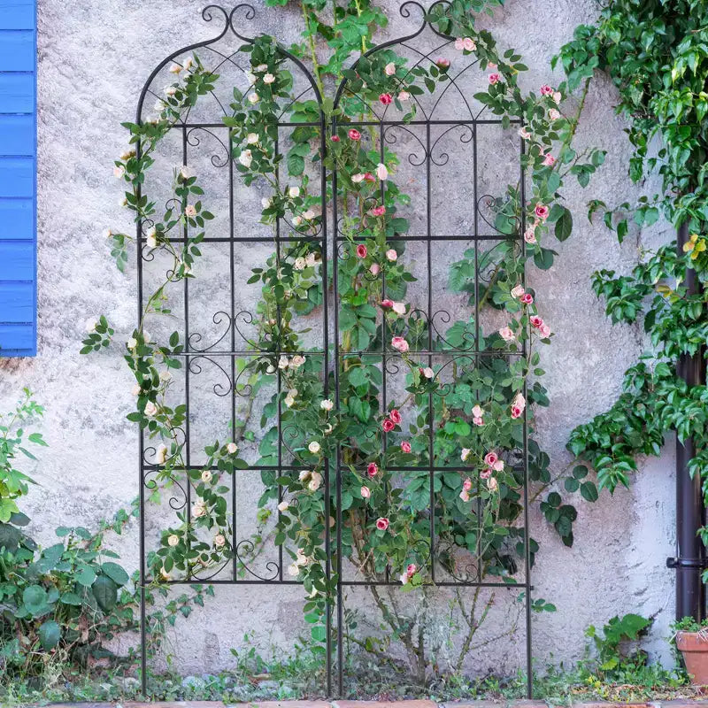 Trellis de jardin pour plantes grimpantes Treillis extérieur pour rosiers grimpants