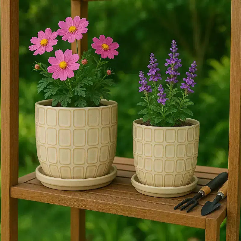 Pots de fleurs décoratifs avec soucoupes - Pots de fleurs pour la décoration intérieure