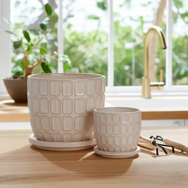 Pots de fleurs décoratifs avec soucoupes - Pots de fleurs pour la décoration intérieure