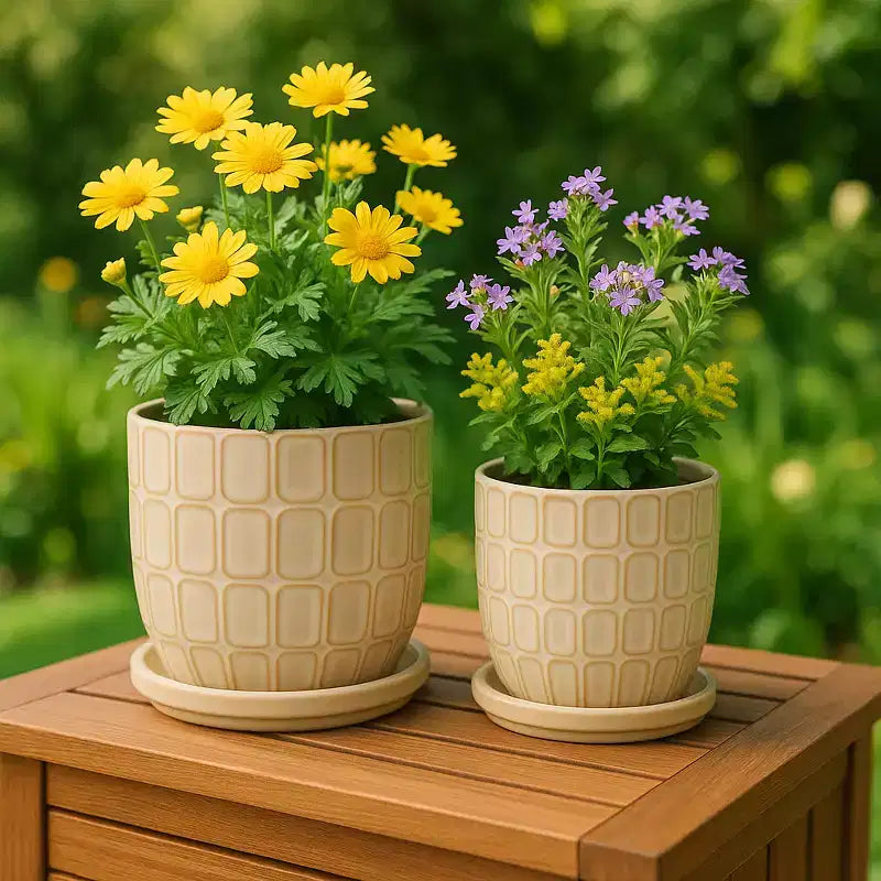 Pots de fleurs décoratifs avec soucoupes - Pots de fleurs pour la décoration intérieure