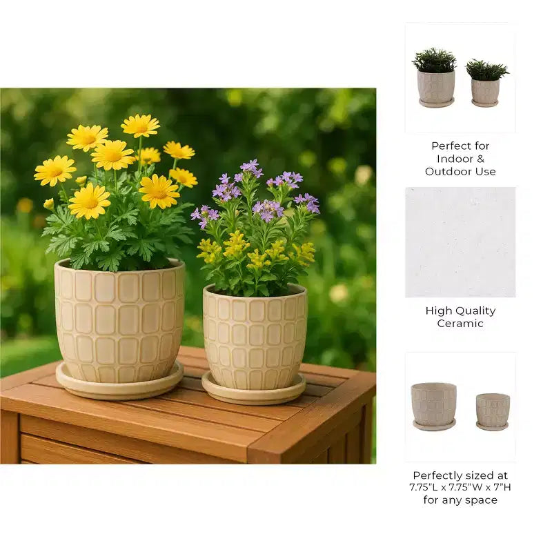 Pots de fleurs décoratifs avec soucoupes - Pots de fleurs pour la décoration intérieure
