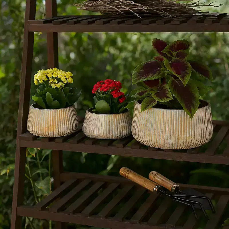 Jardinières Modernes en Métal pour la Maison, le Jardin, l'Entrée, Présentoir à Plantes