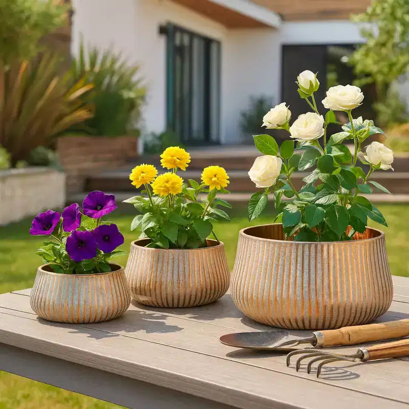 Jardinières Modernes en Métal pour la Maison, le Jardin, l'Entrée, Présentoir à Plantes