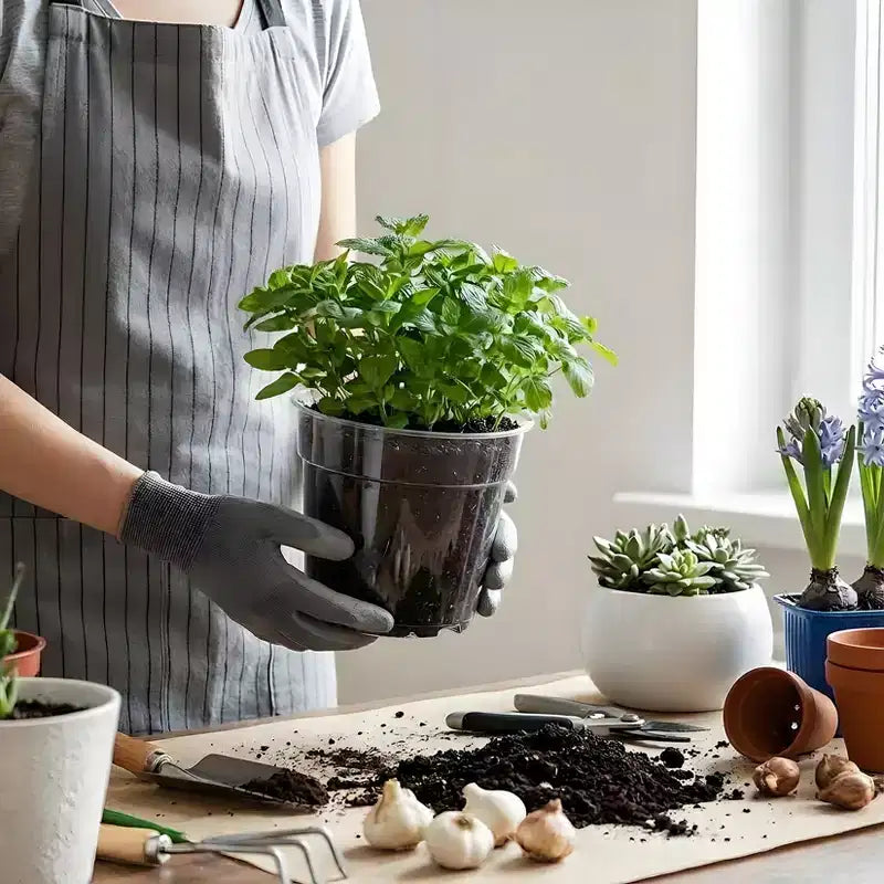 Lot de 20 pots de pépinière transparents pour plantes, pots de fleurs en plastique très transparents