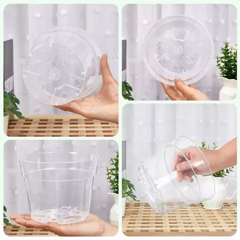 Lot de 20 pots de pépinière transparents pour plantes, pots de fleurs en plastique très transparents
