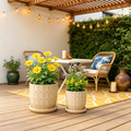 Pots de fleurs décoratifs avec soucoupes - Pots de fleurs pour la décoration intérieure